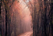 爱游戏入口-水晶宫大胜对手,士气高涨