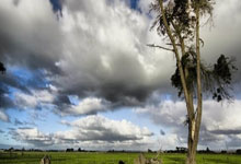 爱游戏在线-红白闪电撕裂欧陆！瑞士军刀晋级背后的双核密码