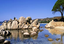 爱游戏tv-黎巴嫩赫纳夫队：战鼓擂响！一支用信念点燃热血的东方雄狮