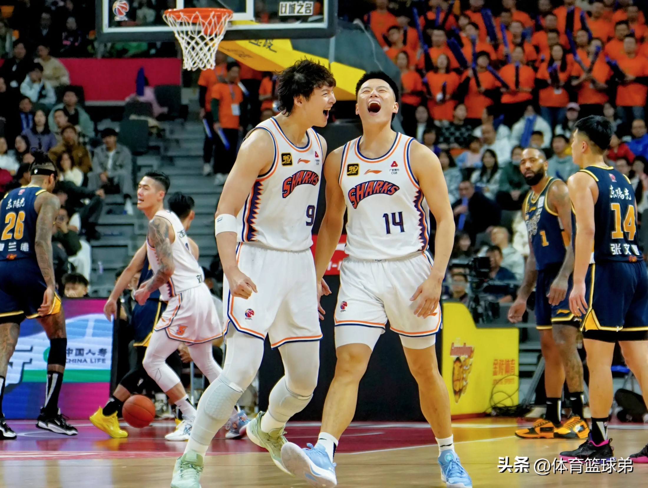 包含浙江队稳扎稳打,击败对手保持不败的词条 包含浙江队稳扎稳打,击败对手保持不败的词条