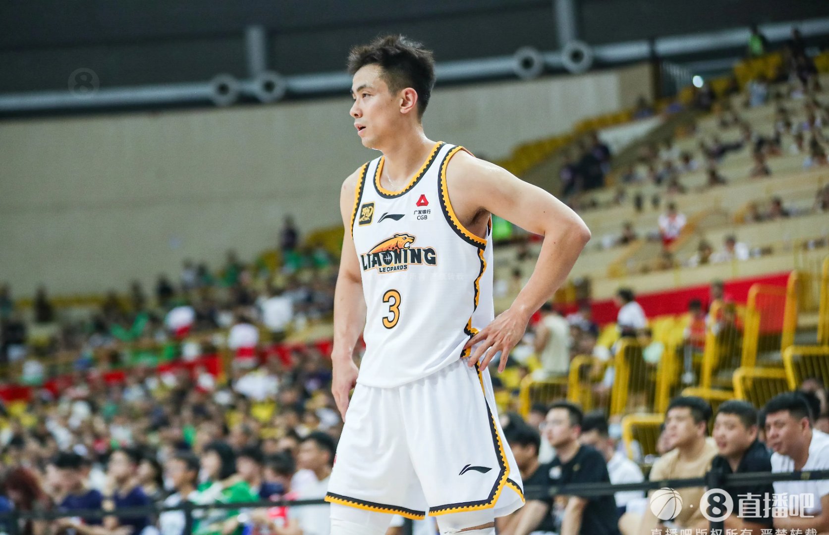 深圳队鏖战灰熊，赵继伟惊艳四座的简单介绍