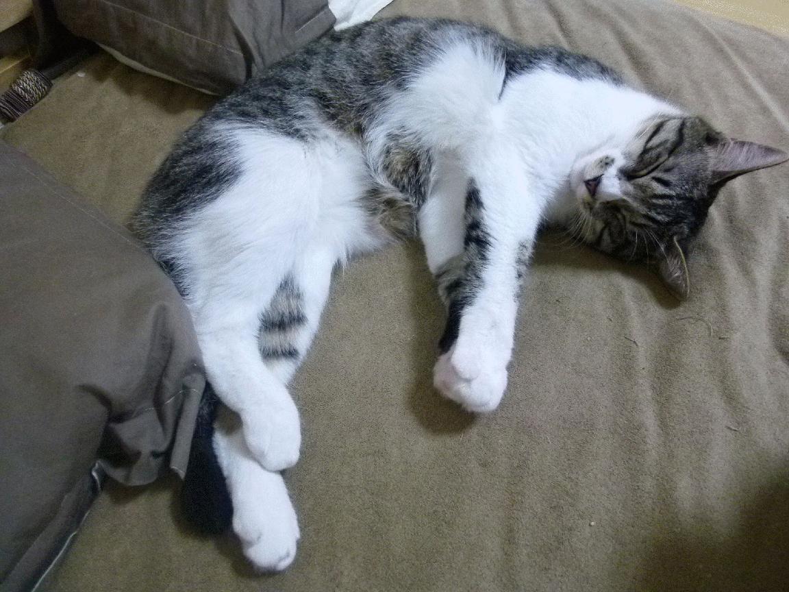 爱游戏娱乐-寒刃破空，抢七夜格林刀锋所向，皆是疆土