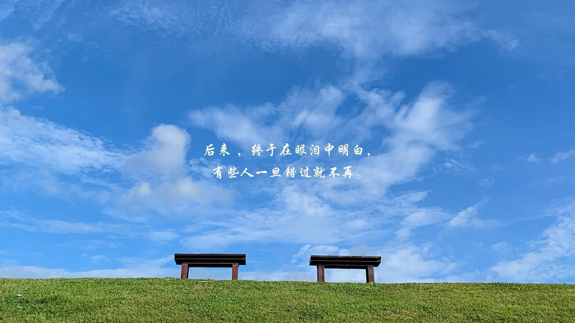 爱游戏官网-破晓，从CBA速胜到2026世界杯的接管者