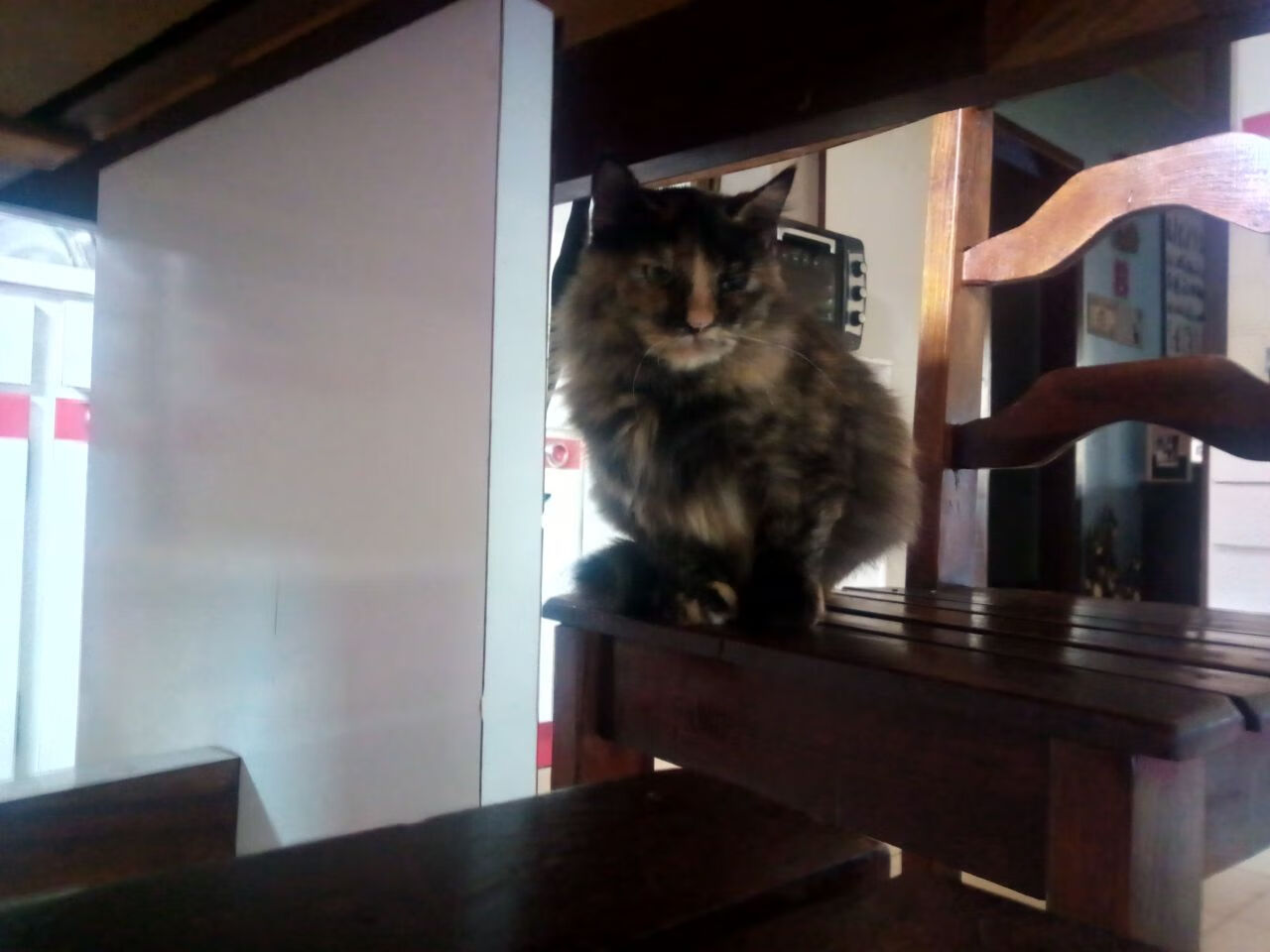 爱游戏APP-穆勒关键一击定乾坤,摩洛哥争冠战力克苏格兰创历史