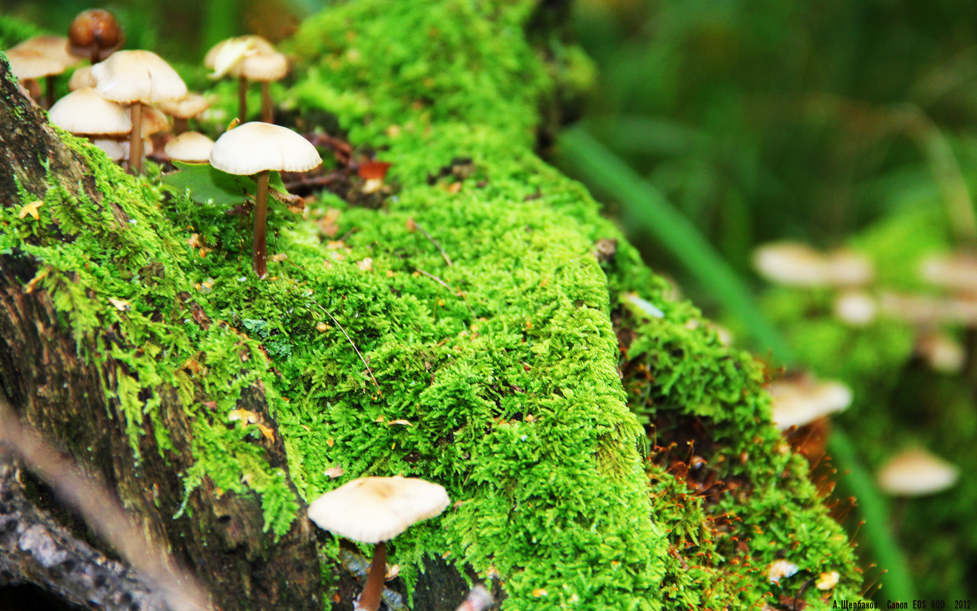 勇士客场力克马刺，爱德华兹持续稳定输出彰显新生代力量